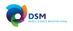 DSM logo